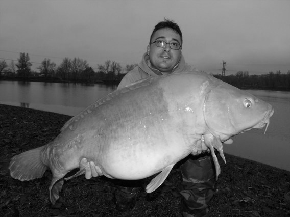 diverse - R.I.P.
te-ai stins amica mea dulce.Sper ca acum inoti libera intr-un lac etern. Ne vom vedea intr-o zi...